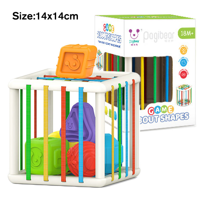 Toddler Montessori Fine Motor Training Toy