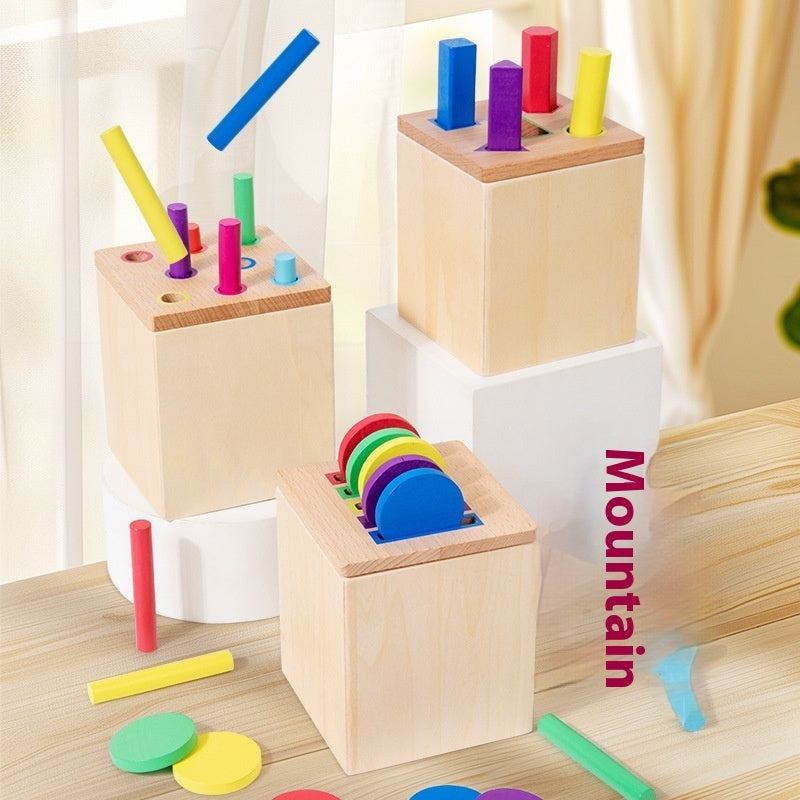 Early Childhood Educational Color & Cognitive Toy