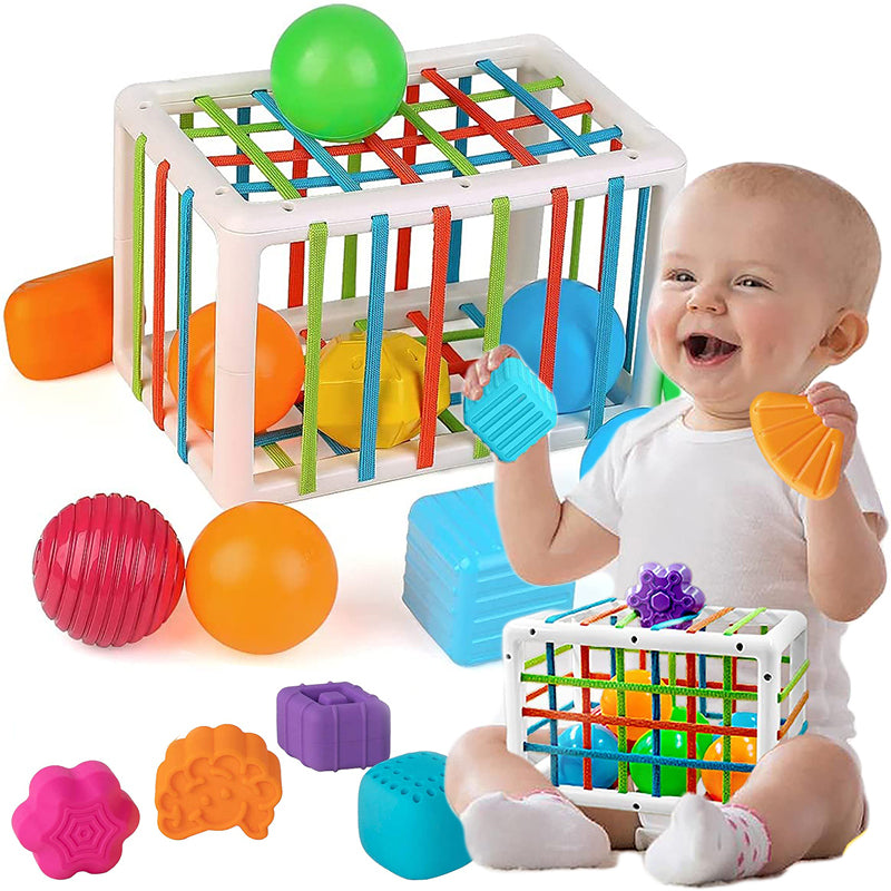 Toddler Montessori Fine Motor Training Toy