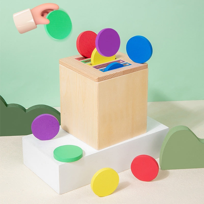 Early Childhood Educational Color & Cognitive Toy
