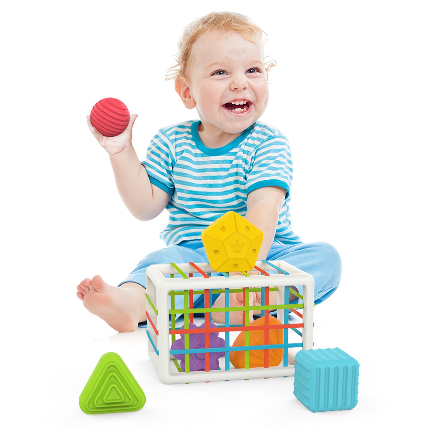 Toddler Montessori Fine Motor Training Toy