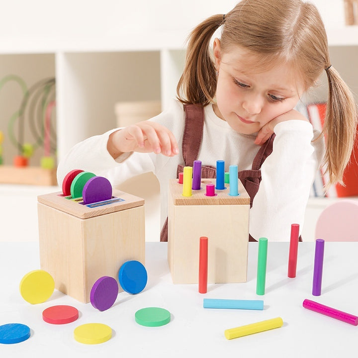Early Childhood Educational Color & Cognitive Toy