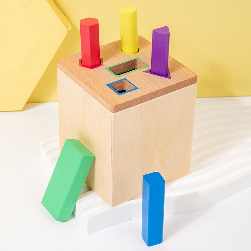 Early Childhood Educational Color & Cognitive Toy