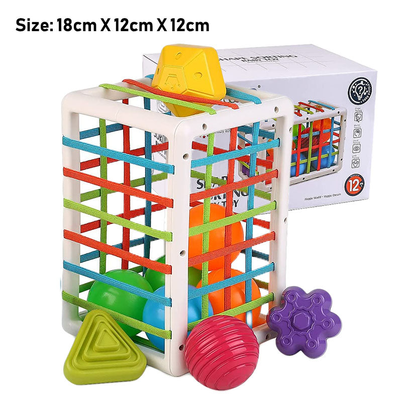 Toddler Montessori Fine Motor Training Toy