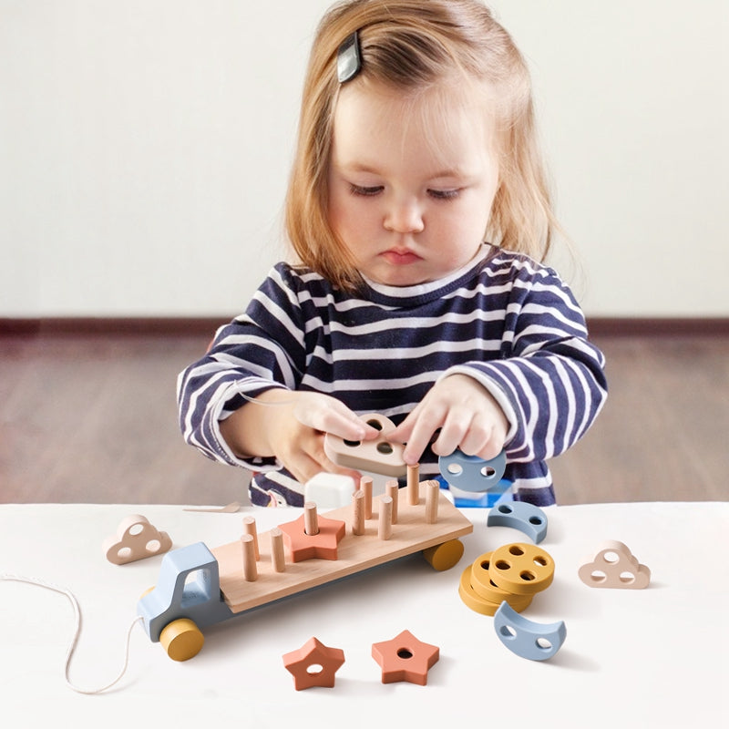Baby Pull & Glide Cognitive Toy